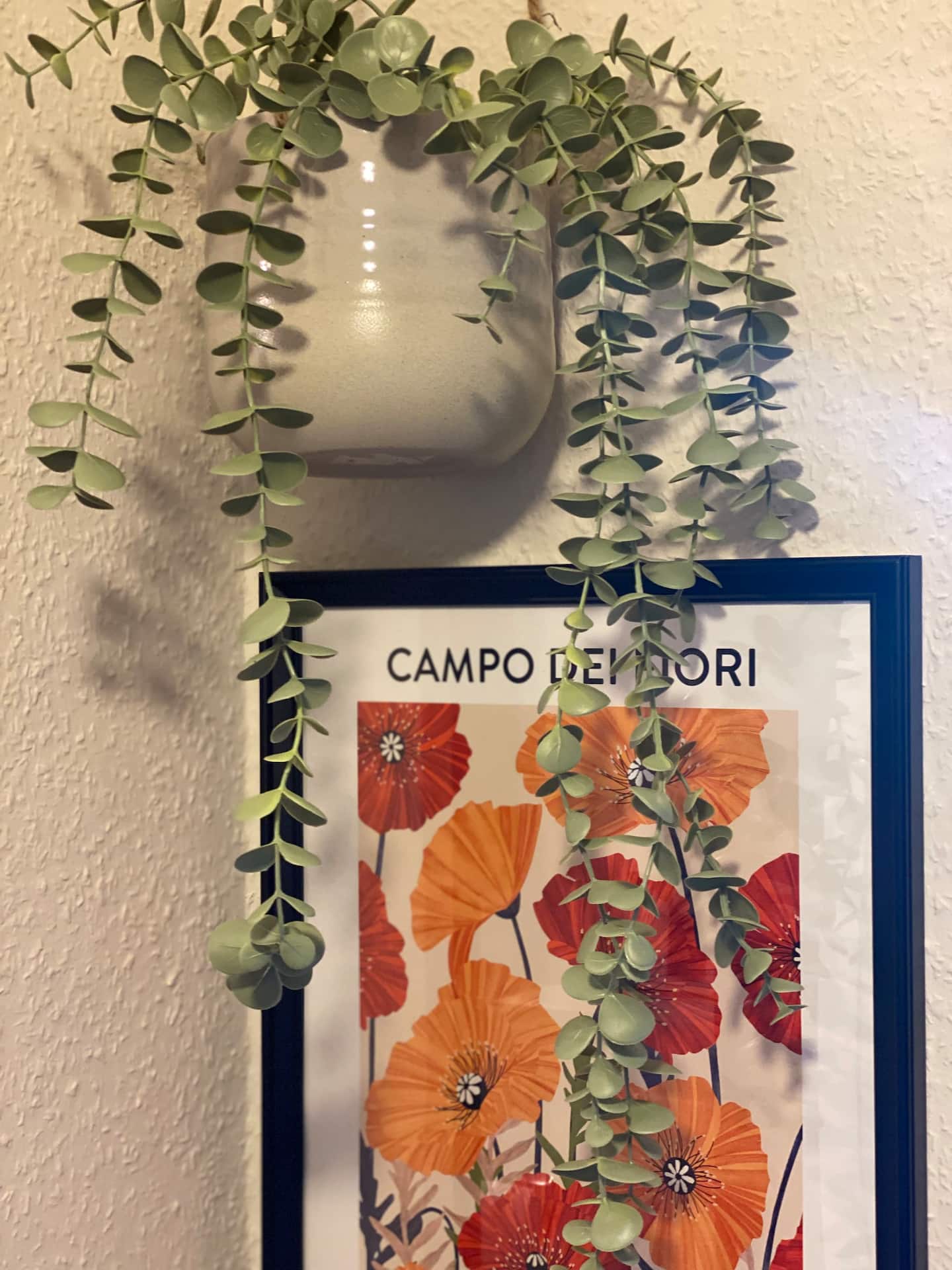 Ferienappartement Ansicht